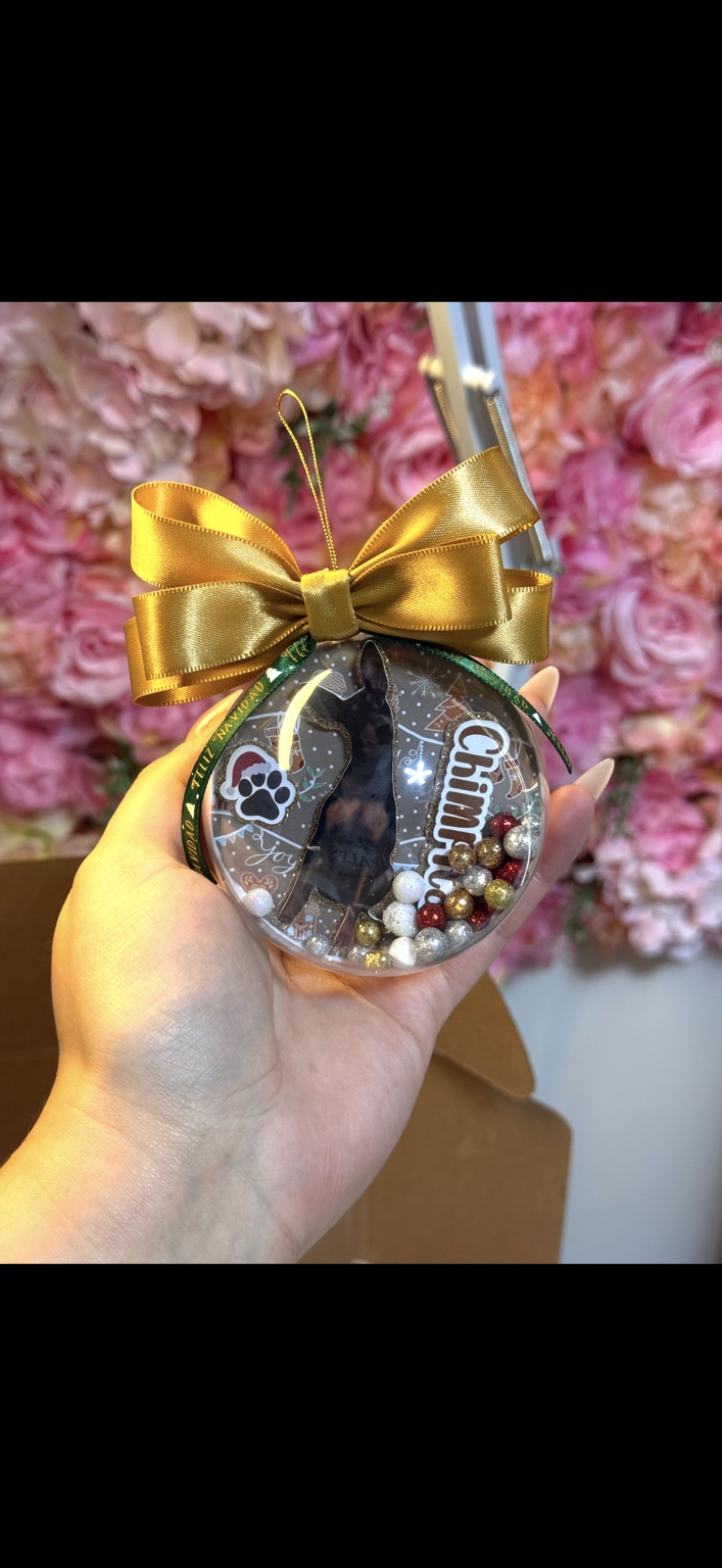 Esfera 3D personalizada para mascota